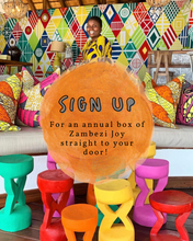 Load image into Gallery viewer, Surprise Subscriber Packages