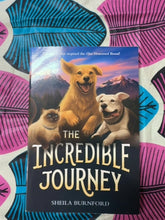 Load image into Gallery viewer, Incredible Journey front cover