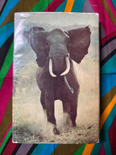 Load image into Gallery viewer, Among the Elephants by Iain and Oria Douglas Hamilton
