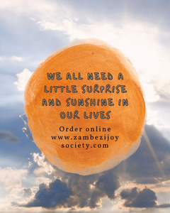 Surprise Subscriber Packages