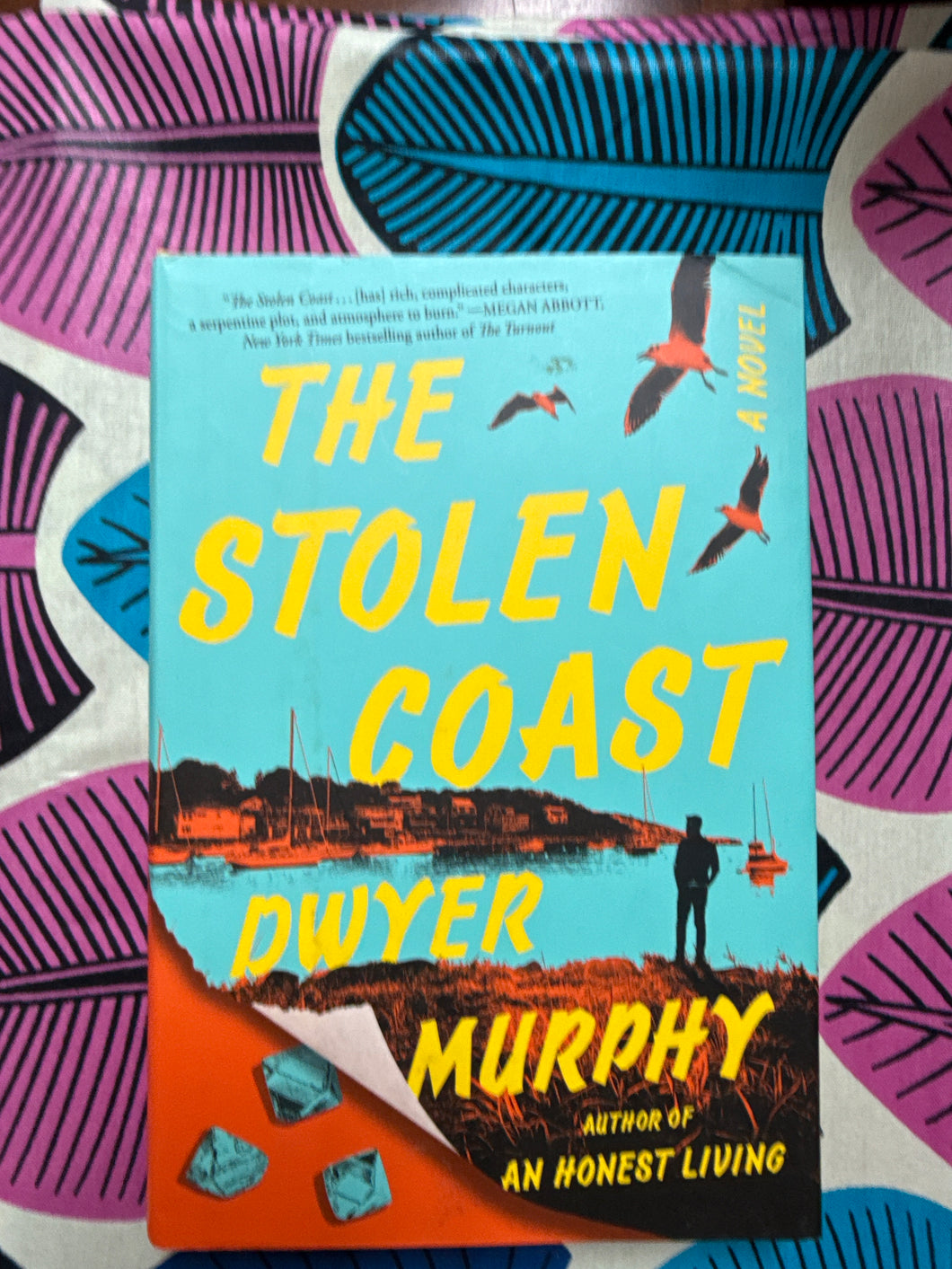 The Stolen Coast by Dwyer Murphy
