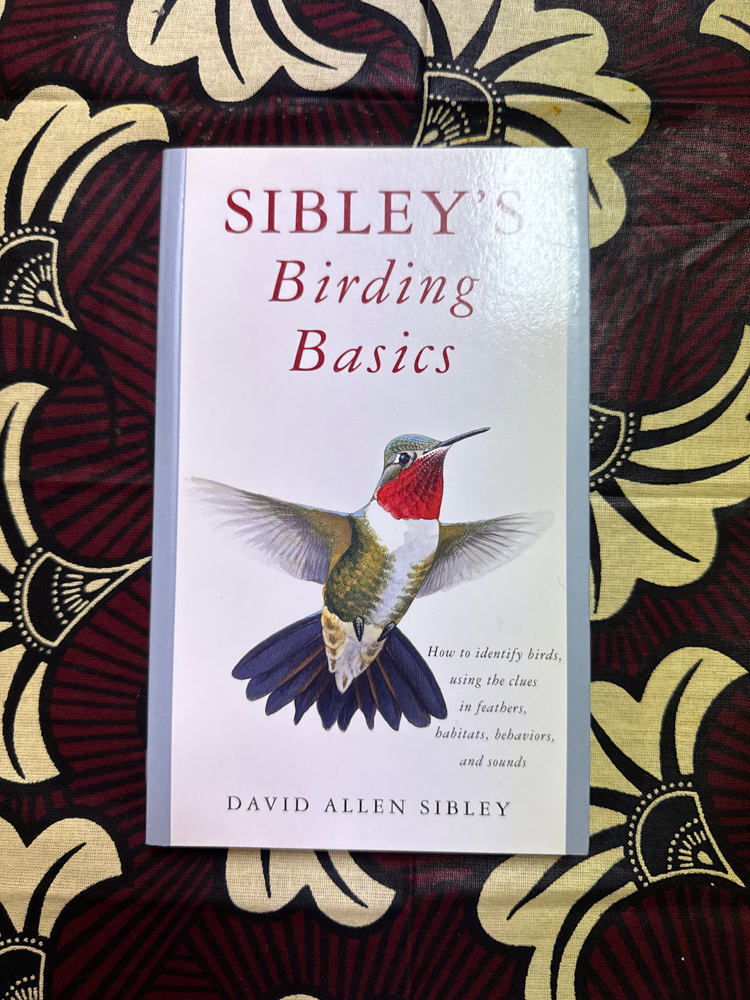 Sibley’s Birding Basics by David Allen Sibley