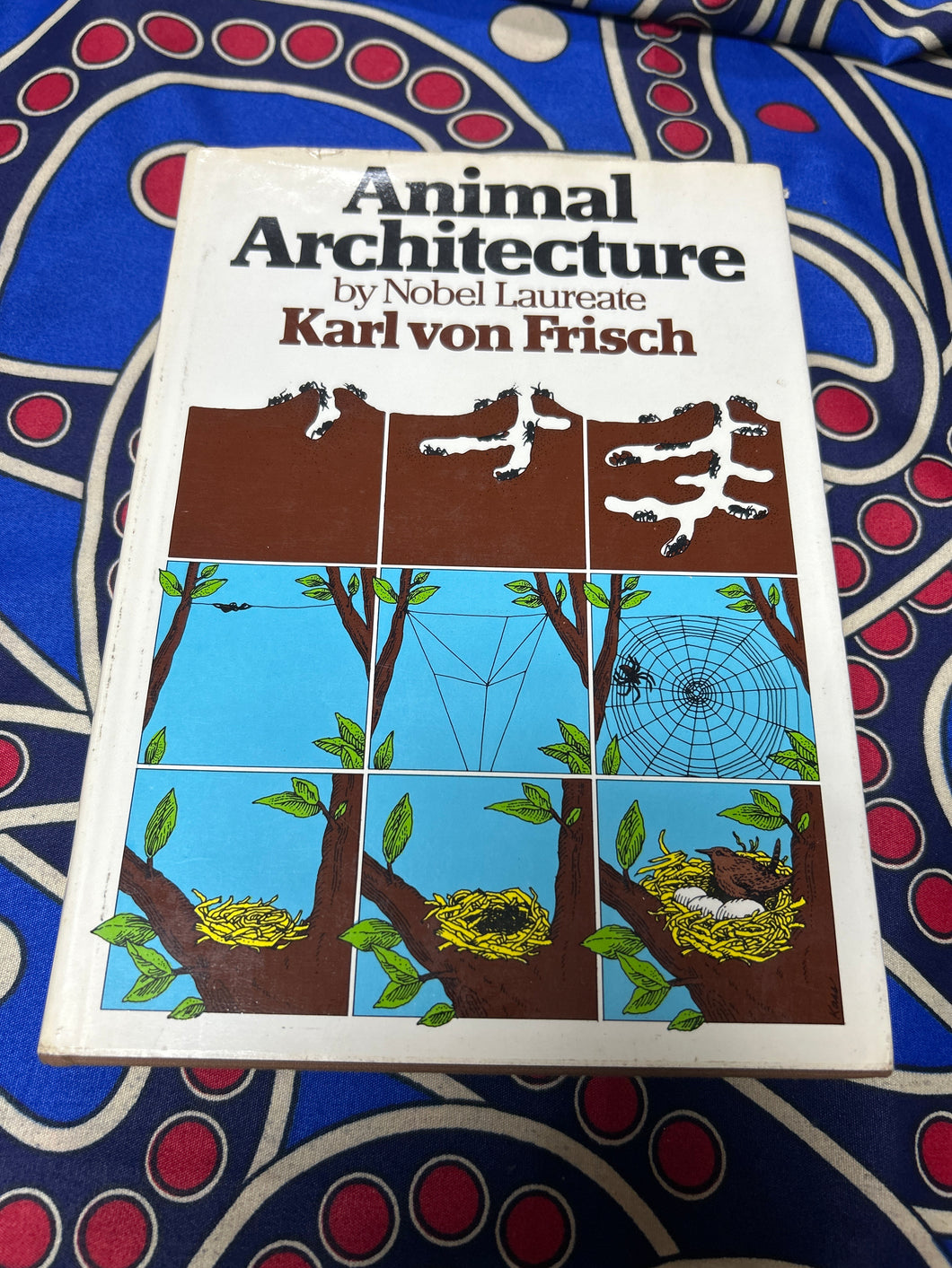 Animal Architecture by Karl Von Frisch