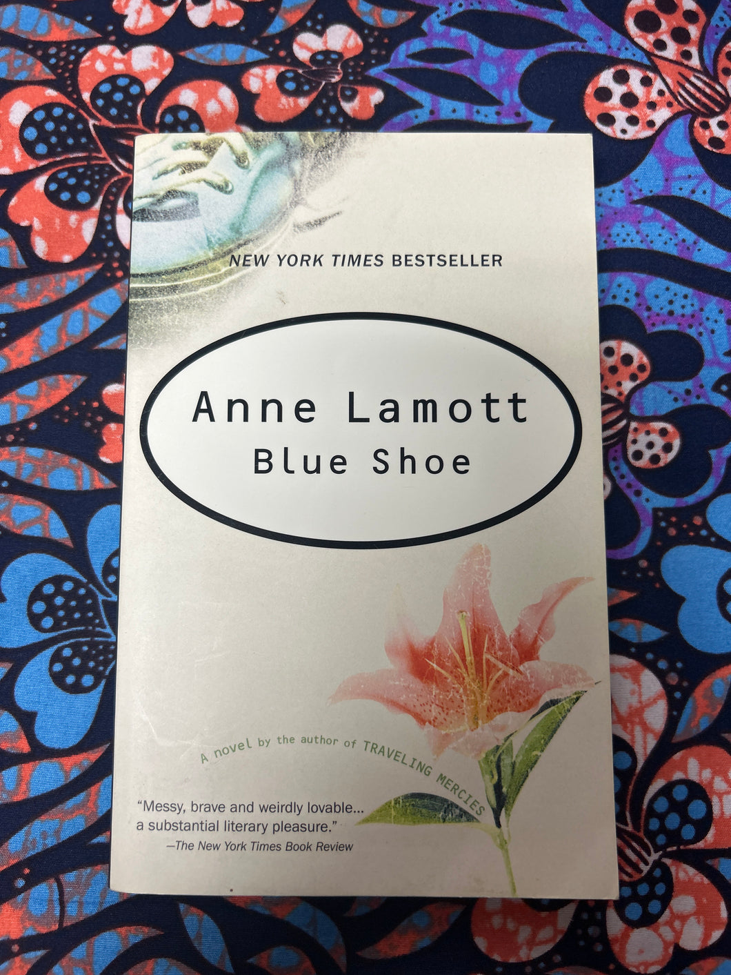 Blue Shoe by Anne Lamott