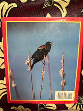 Load image into Gallery viewer, The Birds of Texas by John Tveten

