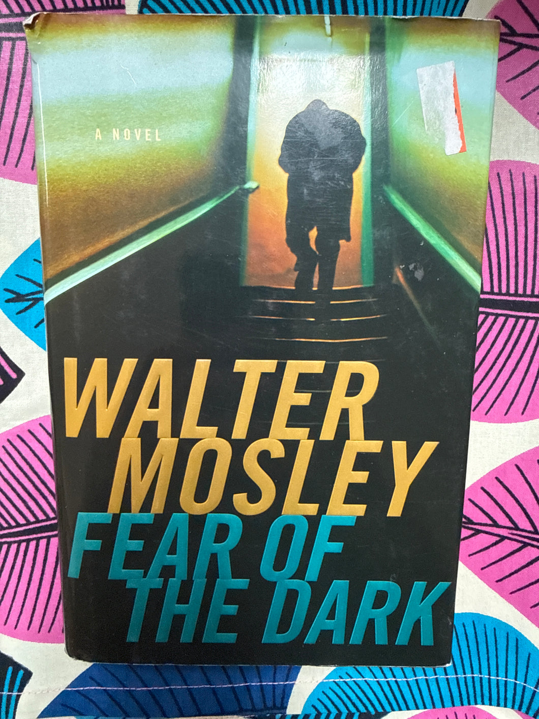 Fear of the Dark by Walter Mosley
