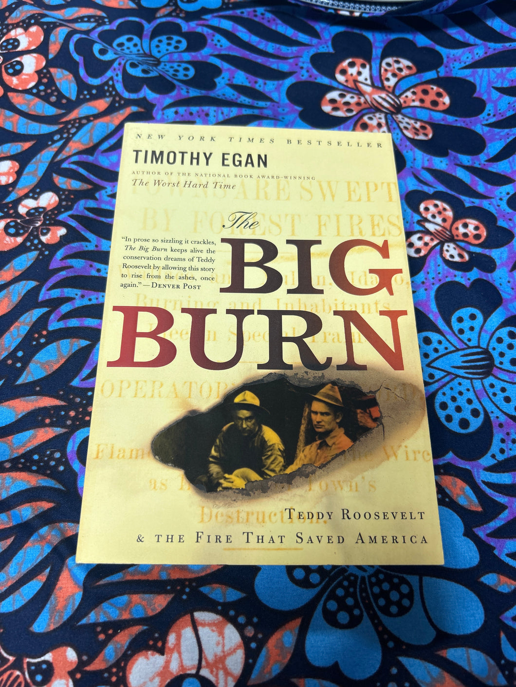 The Big Burn: Teddy Roosevelt and the Fire that Saved America by Timothy Egan