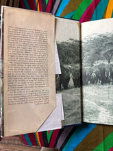Load image into Gallery viewer, Among the Elephants by Iain and Oria Douglas Hamilton
