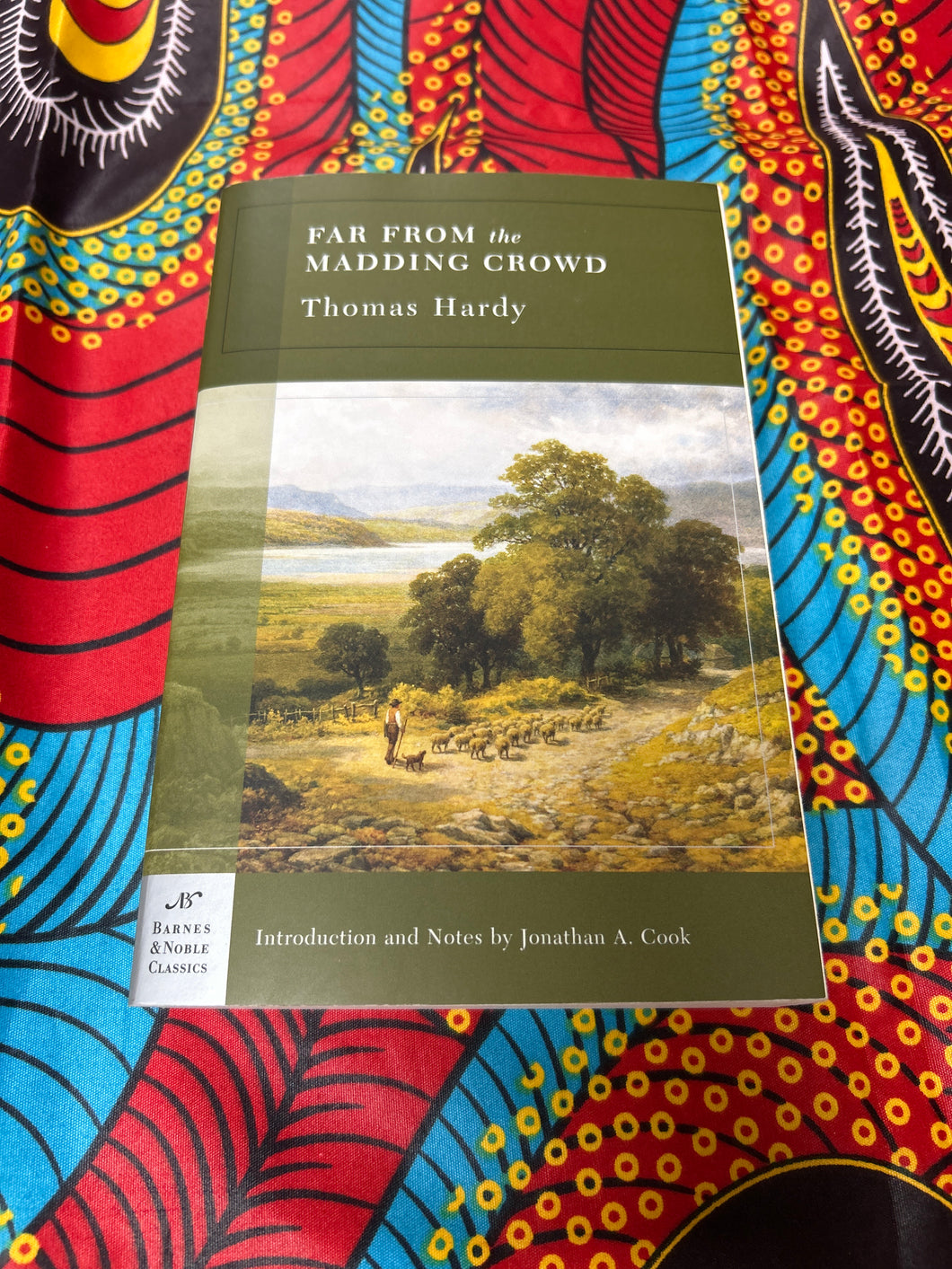 Far From the Maddening Crowds by Thomas Hardy