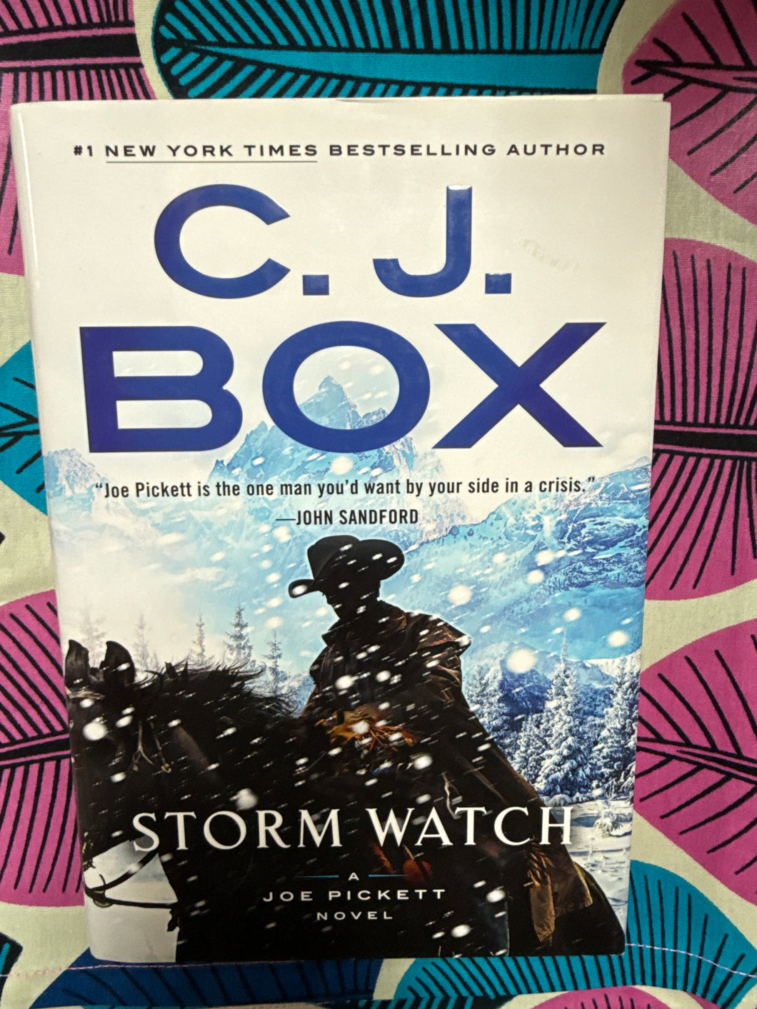 Storm Watch A Joe Pickett Novel by CJ Box