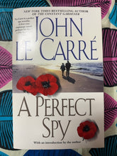 Load image into Gallery viewer, A Perfect Spy front cover
