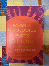 Load image into Gallery viewer, When a Crocodile Eats the Sun front cover
