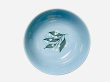 Load image into Gallery viewer, Mid Century Homer Loughlin Skytone Stardust - Big Bowl
