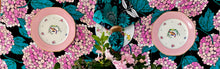 Load image into Gallery viewer, Daisy x Hydrangea - Starter Set
